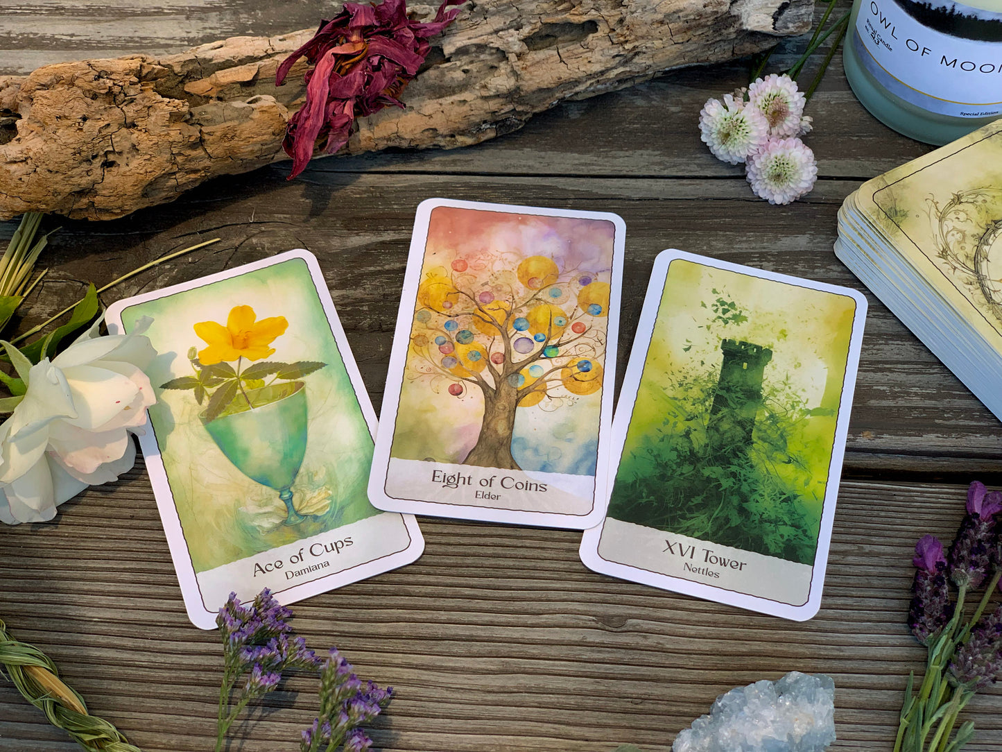 Owl Of Moon Plant Spirit Tarot Deck