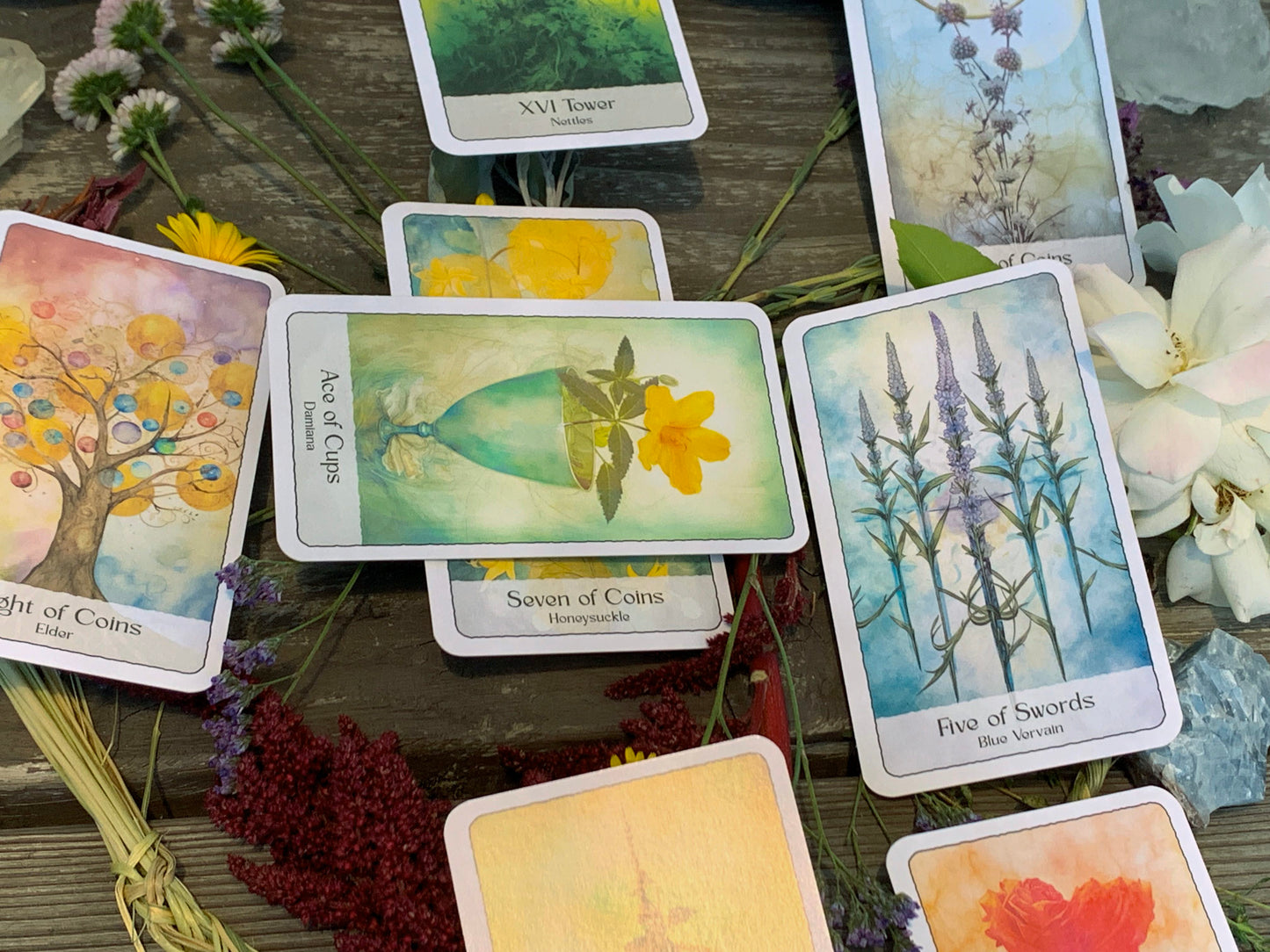 Owl Of Moon Plant Spirit Tarot Deck
