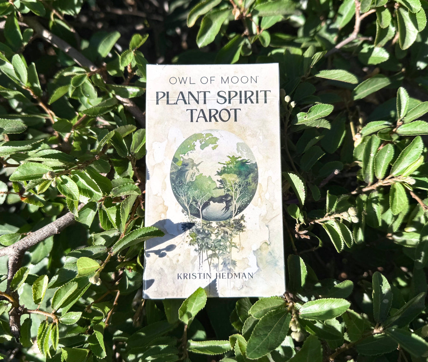 Owl Of Moon Plant Spirit Tarot Deck