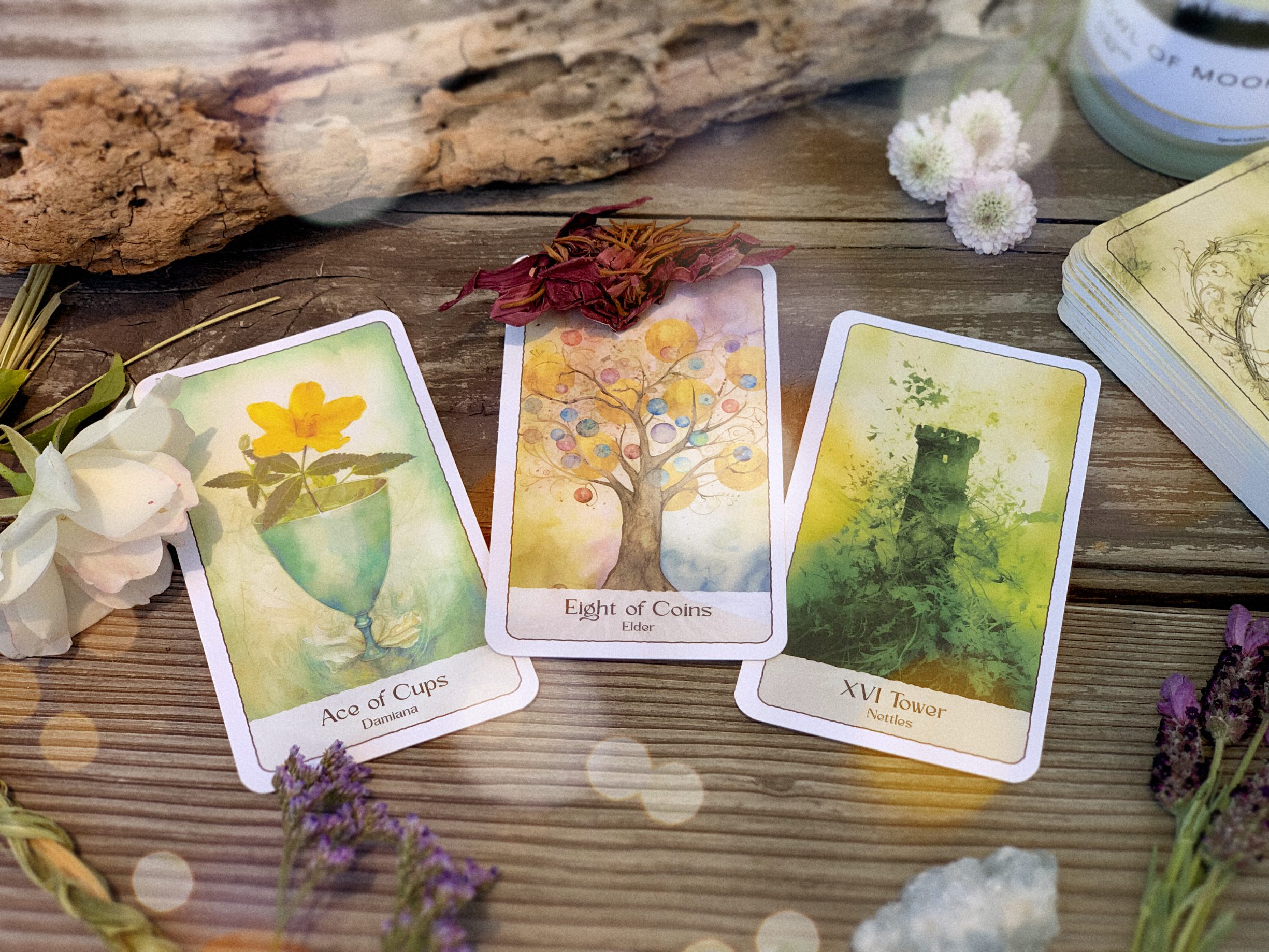Owl Of Moon Plant Spirit Tarot Deck