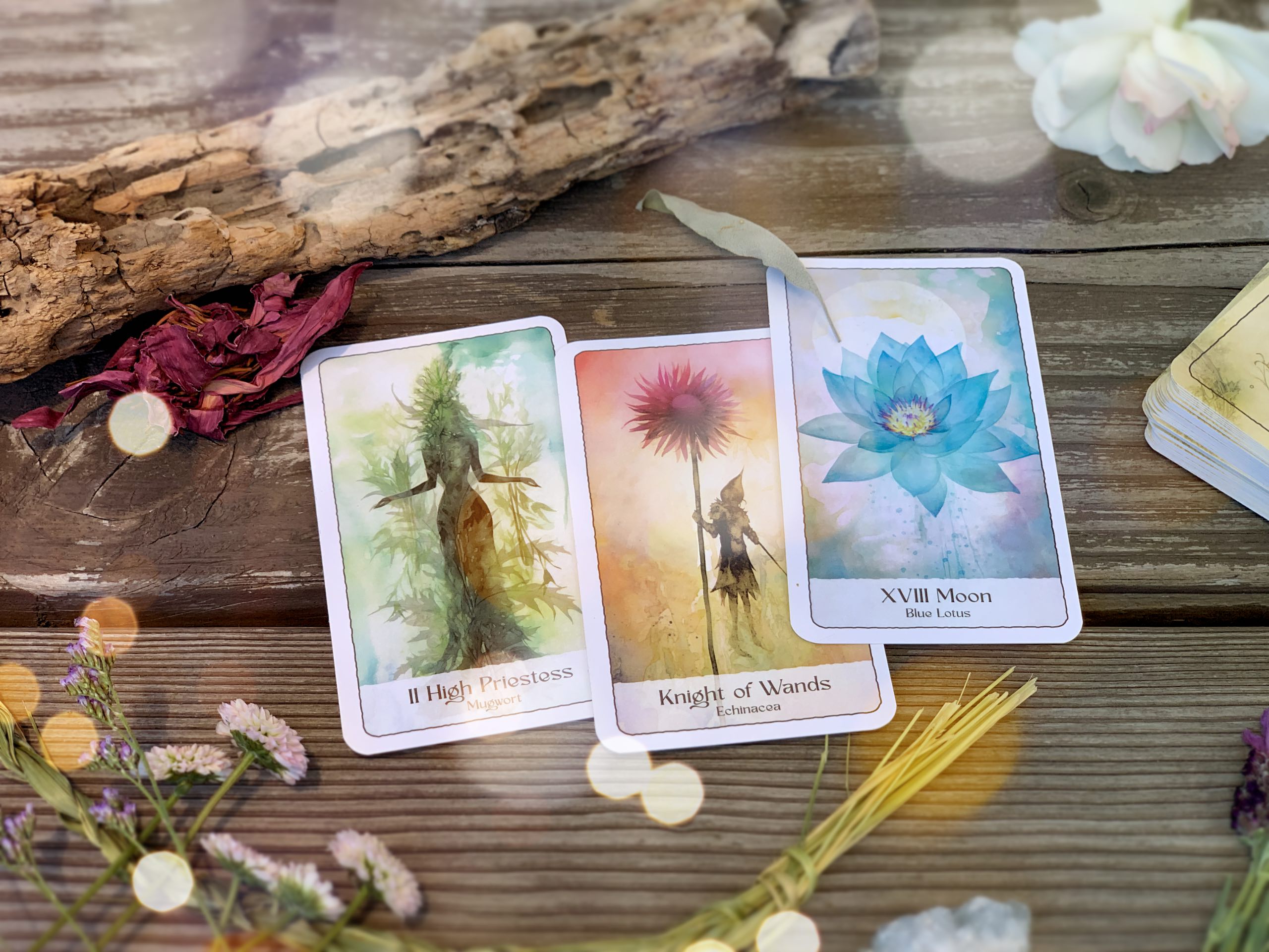 Owl Of Moon Plant Spirit Tarot Deck